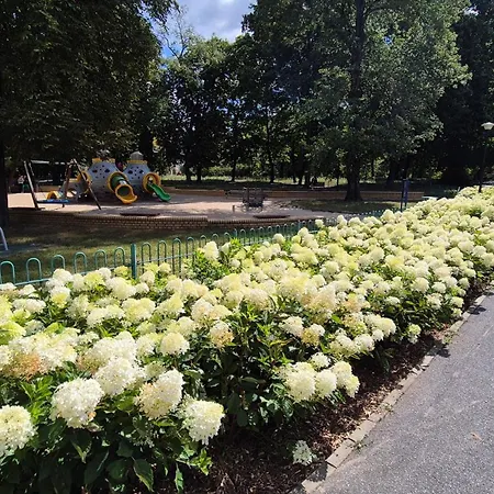 Towarowa Flowers Apartment, Free Parking, Air-conditioning, Self Check-in 24h דירה *