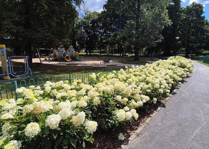 Towarowa Flowers Apartment, Free Parking, Air-conditioning, Self Check-in 24h דירה *